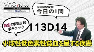 113D14 動画で学ぶ医師国試（MAC）小球性低色素性貧血を呈する疾患（今日の1問）