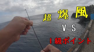 魚が釣りたい！この欲求を１級ポイントなら叶えてくれる気がする！【フカセ釣り】