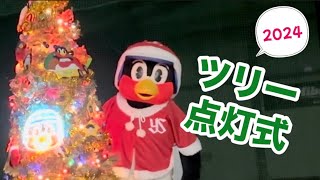 つば九郎🐧クリスマスツリー🎄点灯式Day1💡2024/12/14