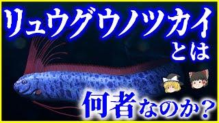 【ゆっくり解説】幻の深海魚…「リュウグウノツカイ」とは何者なのか？を解説/食べたらどんな味？人魚伝説との関係とは