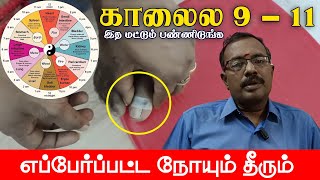 காலை 9 to 11 குள்ள இத செஞ்சா எப்பேர்ப்பட்ட நோயையும் குணமாக்கும் | Yogam | யோகம்