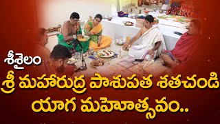 శ్రీశైలంలో శ్రీ మహారుద్ర పాశుపత శతచండి యాగ మహోత్సవం..| Maharudra Pasupatha Shatachandi Yadam