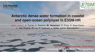 Antarctic Dense Water Formation in Coastal and Open-Ocean Polynyas in E3SM-HR