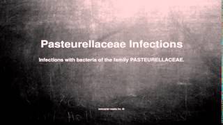 Medical vocabulary: What does Pasteurellaceae Infections mean