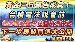 飆股控盤術 陳俊言分析師 【黃金三日預告成真！台積電法說會前 相關個股壓不住直噴漲停板 下一步賺錢門道大公開】2025.01.16