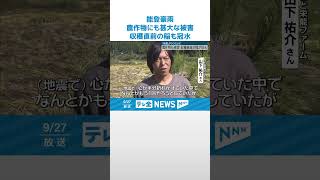 【「地震よりひどい…」】能登豪雨で農作物にも甚大な被害…収穫直前の稲も冠水 #shorts