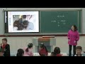 13 最新！【省级】小学道德与法治 二年级上册