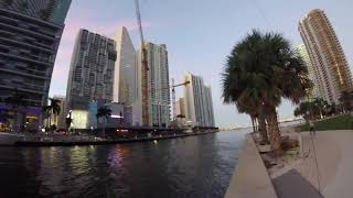 Miami Mullet Run: Huge Tarpon and Jacks in Downtown Miami