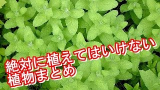 【危険】絶対に植えてはいけない植物まとめ/最凶の閲覧注意