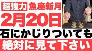 【確実にヤバい!!】2月20日(月)までに石にかじりついても今すぐ絶対見て下さい！このあと、順風満帆に今日一日が上手くいく予兆です！【2023年2月20日(月)魚座新月の大大吉祈願】