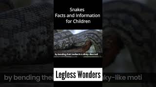 Legless Wonders - Snakes Facts & Information for Kids #snake #snakes #facts #kids #snakerescue