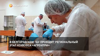 В Белгородском ГАУ проходит региональный этап конкурса «АгроНТРИ»