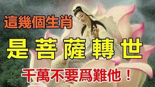 天生富貴！菩薩轉世的5個生肖，家裡有一個子孫三代都好運！他們心地非常的善良，千萬不要為難他們！自古以來善便可生財，好人一生積累陰德可以得到天神護佑，一生平安多財【佛之緣】