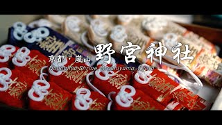 京都・嵐山「野宮神社」秋の紅葉さんぽ 2024/11/25(Mon)