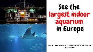 യൂറോപ്പിലെ ഏറ്റവും വലിയ ഇൻഡോർ അക്വാറിയം  II My experience at the Lisbon Oceanarium, Portugal!