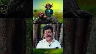 THALSAMAYAM KATTU VARTHAKAL  EPISODE02 I #kuttikkattil #asianet #funny #youtubeshorts #youtubeviral