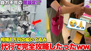 勝手に確率がリセットされる鬼畜仕様の確率機に相場1万円のぬいぐるみが入っていたので、代行して初心者を救ってみた。【クレーンゲーム】