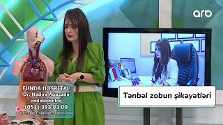 Tənbəl zob