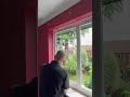 How to install new Slimline uPVC windows!