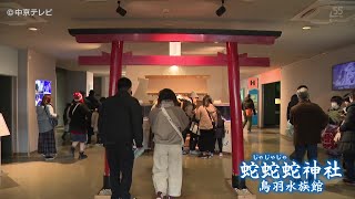 【鳥羽水族館】「蛇蛇蛇神社」登場　縁起が良い白色アオダイショウなど展示　三重・鳥羽市