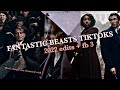 fantastic beasts tiktok edits I'm obsessed with (+secrets of dumbledore)