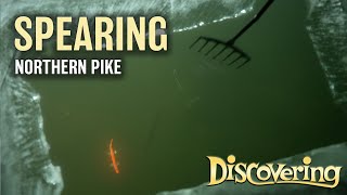 Spearing Through the Ice for Northern Pike | DISCOVERING