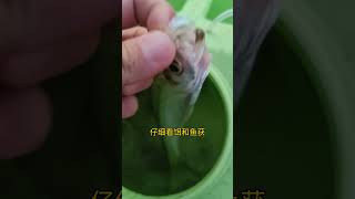 论钓鱼准备充分的必要性，每次路亚翘嘴都不尽兴的鱼友，请看过来 相信很多钓友看了我做钓资水河的视频，鱼获算诱人吧，但是自己去了又没钓到，是不是怀疑我是摆拍呢？其实你们只看到光鲜的一面……