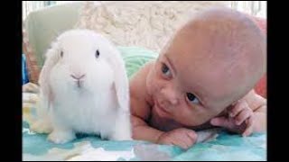#youtubeshorts #Twins Baby Video ! nimi baby play with rabbit #fun #tiktok #trnd #vilar #comedyshort