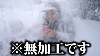 雪の中朝ご飯食べてたら衝撃映像撮れた【大津谷キャンプ場】