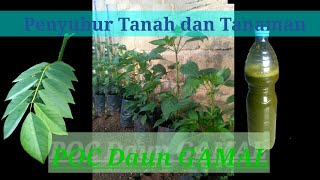 How to Make N Elemental Leaf POC from Gamal Leaves