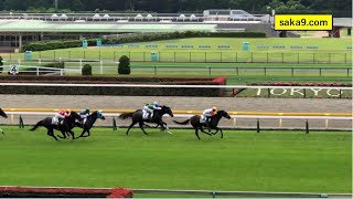 【現地】アップストリーム 母アユサン 3歳未勝利