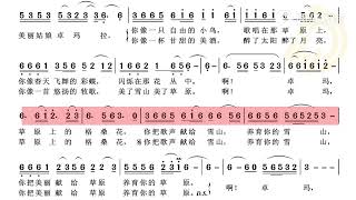 《卓玛》降央卓玛 (动态歌谱)