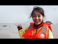 Watch: Join the Yangtze finless porpoise expedition to see the 'smiling angel'