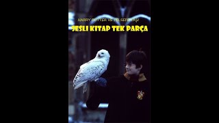 Harry Potter ve Felsefe Taşı / Tek Parça / En İyi Sesli Kitap