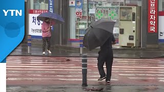 [날씨] 한글날, 전국 가을비...비 내리며 쌀쌀해요! / YTN