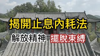 怎麼解放精神，擺脫束縛？揭開止息內耗之法