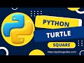 How to draw square in Python Turtle | Python Turtle Square