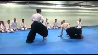 Leo sakanashi, seminario de Aikido en Venezuela Aikikai 2015