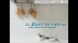 미니멀라이프'정진저'[초간단정리]-23.요상하고 착한 수세미의 세계(23.very fresh natural sponge)(minimal life\