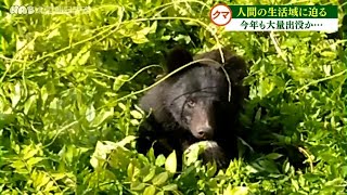 石川県　今年のクマ出没傾向は？ 2021.6.2放送