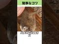 金持ちの秘密