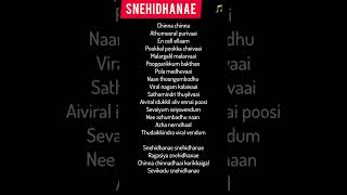 🎶 'Snehidhane' Song Lyrics | Alaipayudhey Movie | A Timeless Tamil Melody! 🌟 @TamilPaadalVarihal