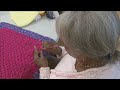 Better Business Bureau warns people of 'grandparent scam'
