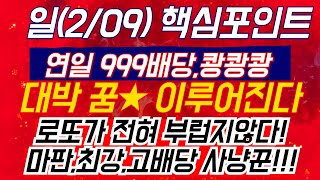 ★(일)핵심키포인트..266.7배 메인강타 포함 줄적중,불적중,,내일 더많은 적중과 999,고배당 대행진 자신,확신,,1147.1배와 379.2배,,577.6배,,등 연일 로또경마