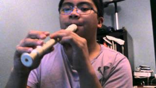 Let Her Go Recorder Cover