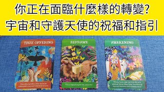 《吉兒生活塔羅》你正在面臨什麼樣的轉變呢?🦋宇宙和守護天使給你的祝福和指引 大眾占卜/塔羅占卜