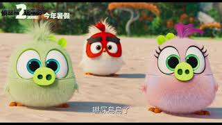 「愤怒的小鸟2 The Angry Birds Movie 2」最新預告