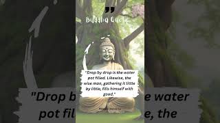 RULES TO A BETTER LIFE | Buddhist Motivational Quotes