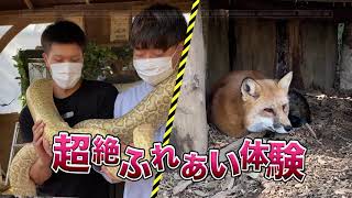 ボス イーゾ フクオカ「完全自己責任！？ ふれあい動物園ノースサファリサッポロ」