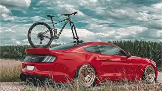 Top 5 Best Roof Bike Racks in 2023